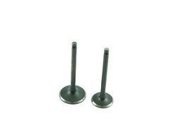 VALVULAS DE ADMISION Y EXPULSION FT-125 JGO.